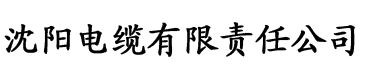 电影无人区骑马bgm电缆厂logo